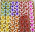 Mollette Fiore a Clip